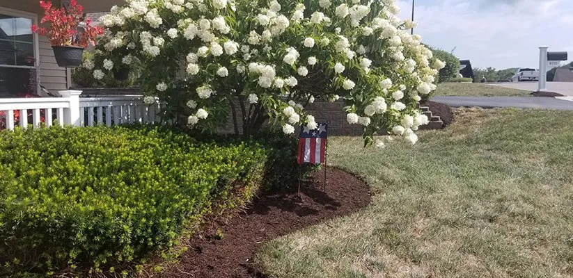 Local landscaping services in Roanoke, VA - One Earth Landscapes