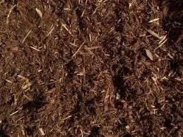 Professional yard cleanup service for homes in Roanoke, VA by One Earth Landscapes