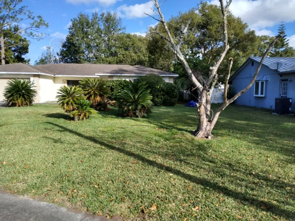 Local yard cleanup service near you across Deltona, FL - One For All Landscaping