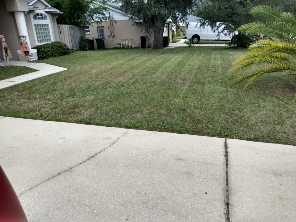 Affordable garden landscaping experts serving Deltona, FL - One For All Landscaping