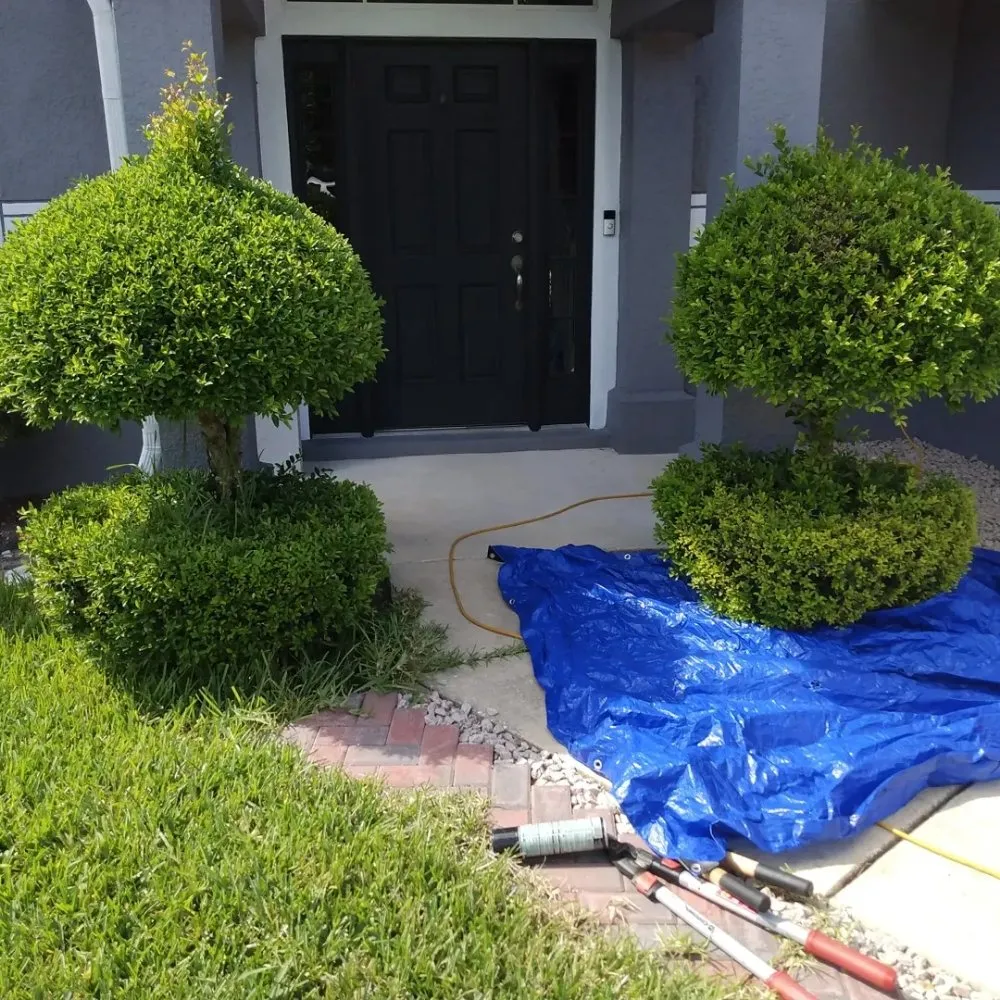 Trusted lawn care service in Deltona, FL by One For All Landscaping