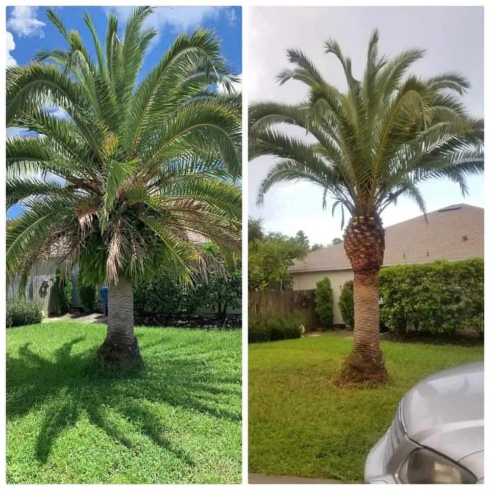 Custom yard cleanup service experts serving Deltona, FL - One For All Landscaping