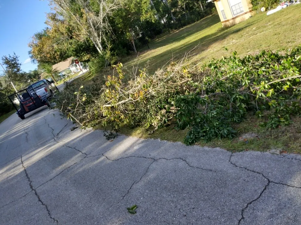 Reliable yard maintenance in Deltona, FL by One For All Landscaping