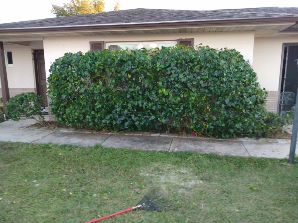 Local landscape design in Deltona, FL by One For All Landscaping