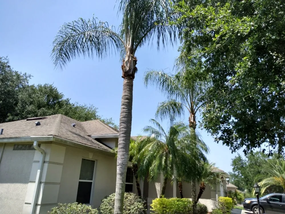 Professional landscaping services for outdoor upgrades across Deltona, FL - One For All Landscaping