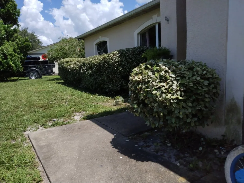 Trusted yard maintenance for homes in Deltona, FL by One For All Landscaping