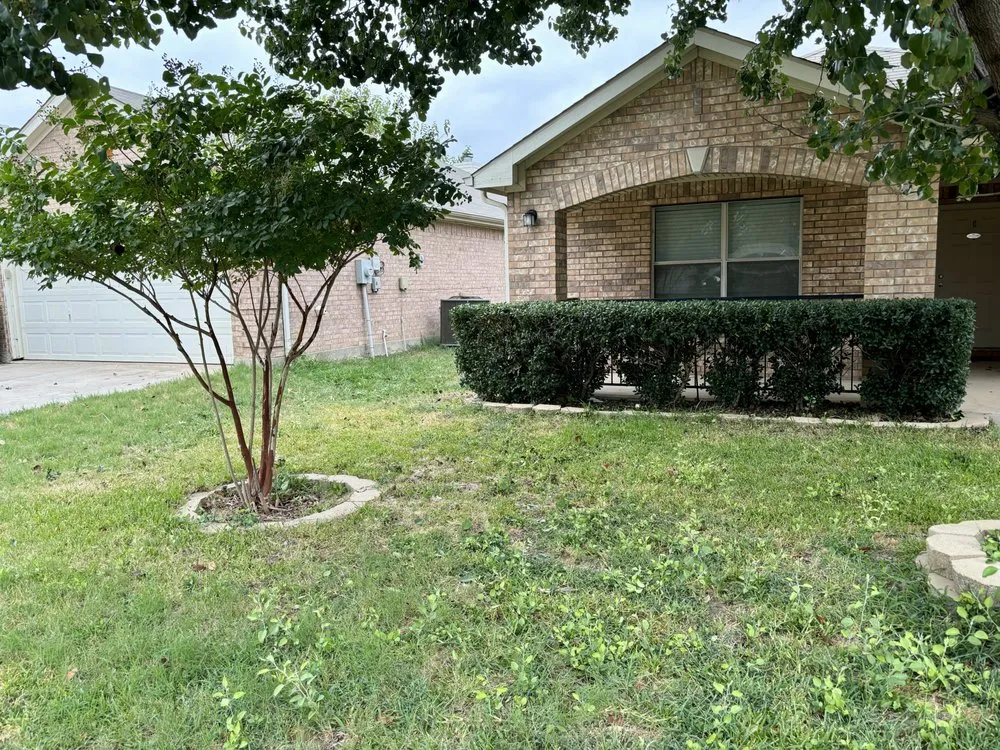 Custom garden landscaping experts serving Fort Worth, TX - One Green Lawn Landscaping