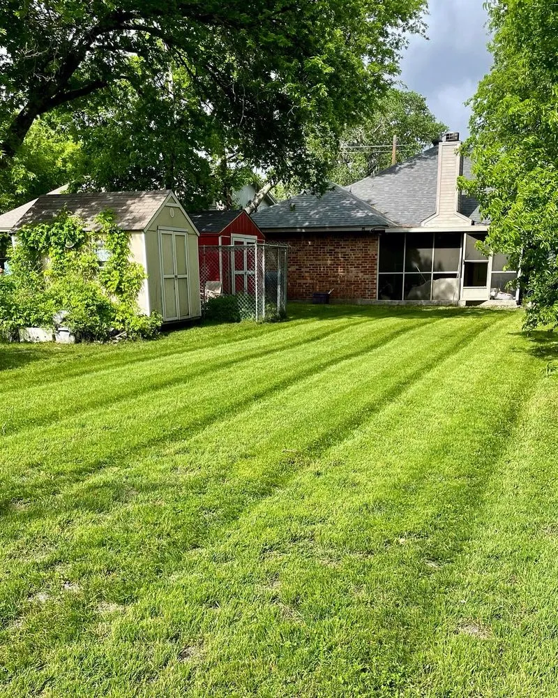 Reliable yard cleanup service experts serving Fort Worth, TX - One Green Lawn Landscaping