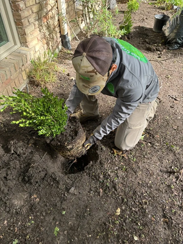 Top-rated residential landscaping in Fort Worth, TX - One Green Lawn Landscaping