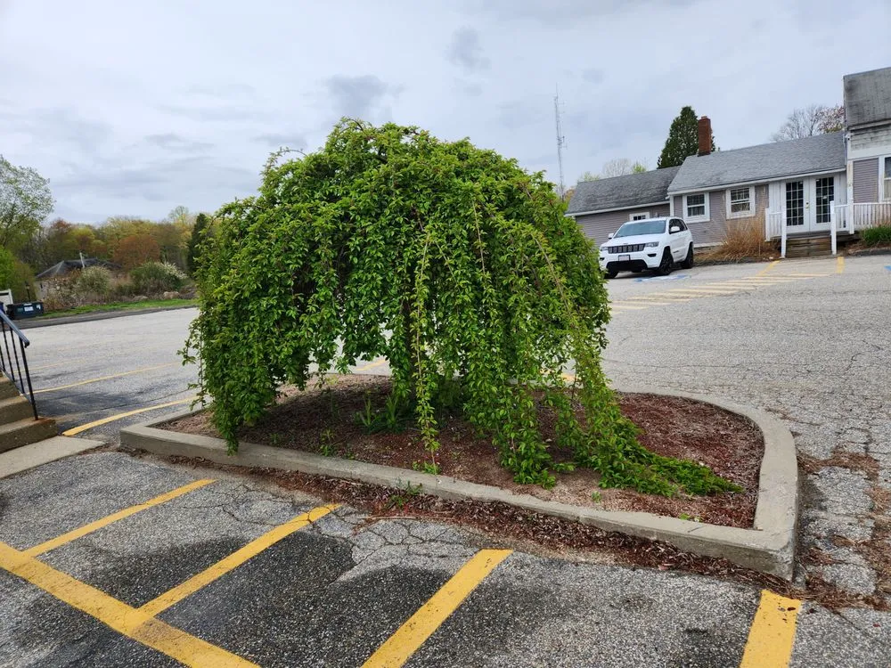 Reliable residential landscaping for homes across Willimantic, CT - One Guy One Mower