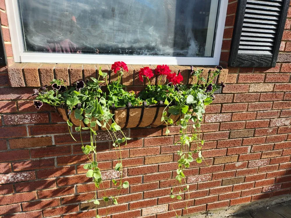 Professional yard cleanup service in Willimantic, CT by One Guy One Mower