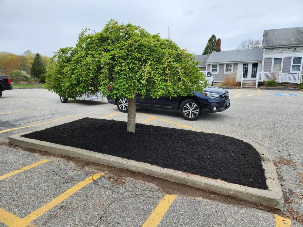 Top-rated landscape installation for homes across Willimantic, CT - One Guy One Mower