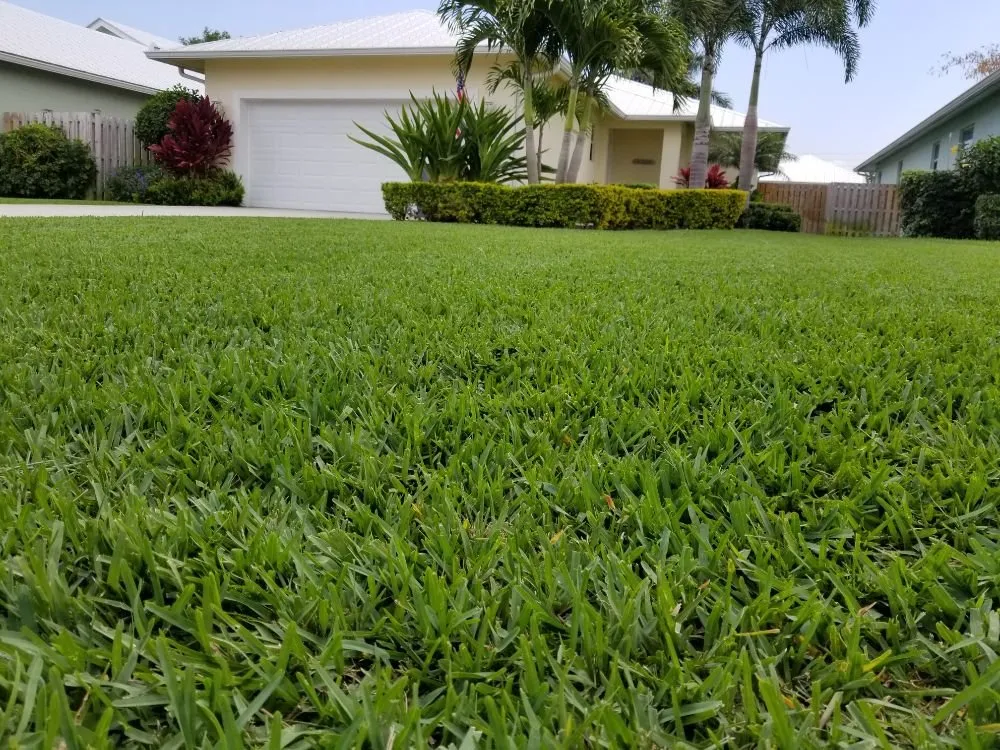 Local yard maintenance in West Palm Beach, FL by One Healthy Lawn