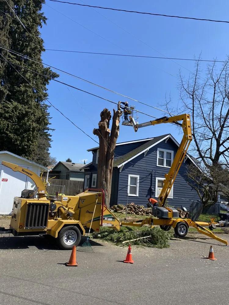 Custom landscape installation in Vancouver, WA by One Hope Tree Service and Construction