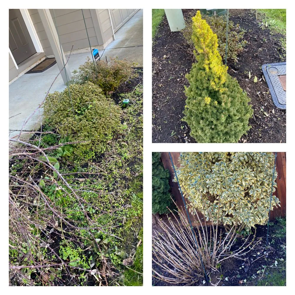 Professional lawn mowing service for year-round maintenance across Vancouver, WA - One Hope Tree Service and Construction