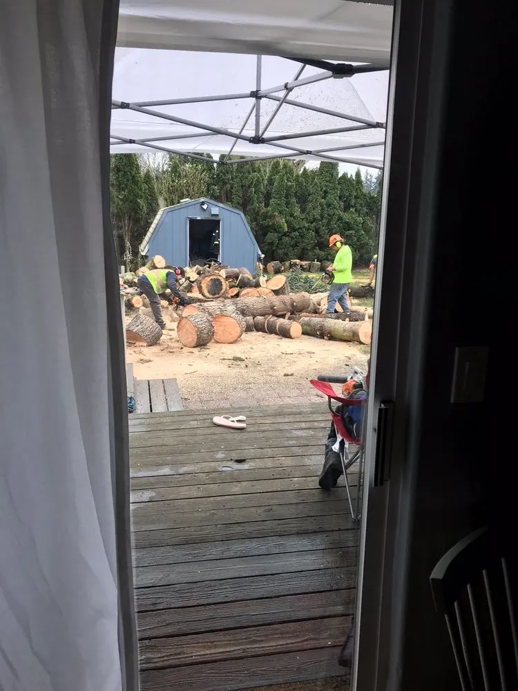 Reliable lawn care service in Vancouver, WA - One Hope Tree Service and Construction