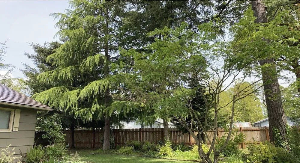 Custom residential landscaping in Vancouver, WA - One Hope Tree Service and Construction