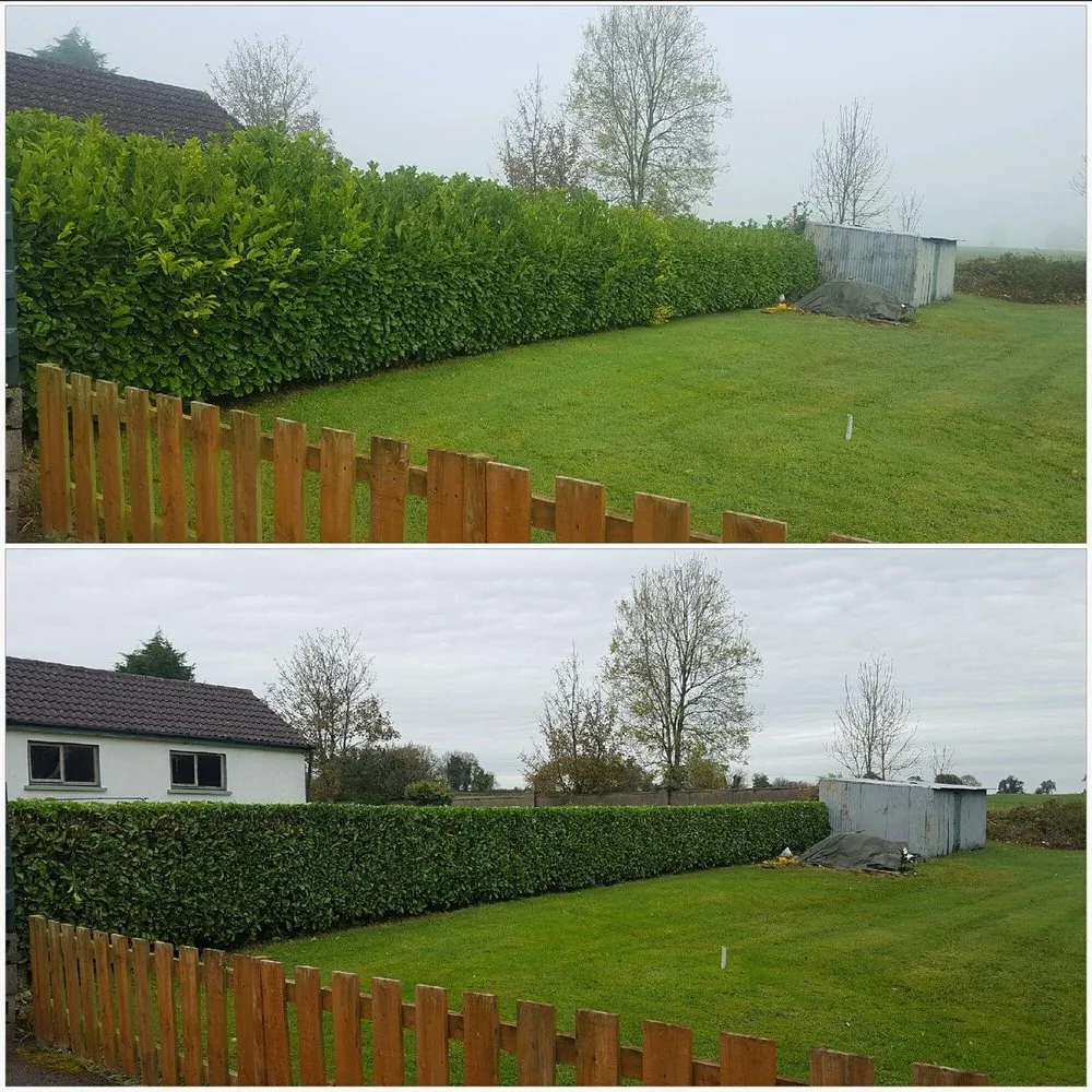 Local outdoor landscaping in Vancouver, WA by One Hope Tree Service and Construction