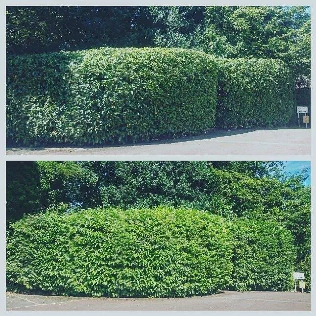 Custom landscape installation experts serving Vancouver, WA - One Hope Tree Service and Construction