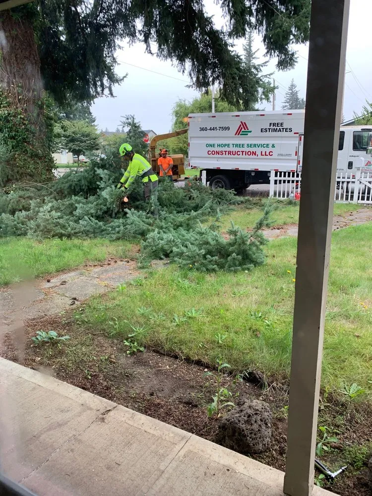 Trusted garden landscaping in Vancouver, WA - One Hope Tree Service and Construction
