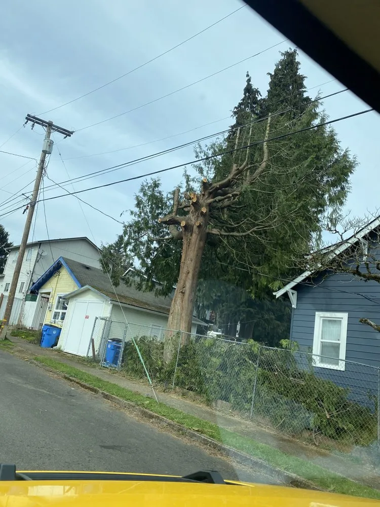 Top-rated landscape design in Vancouver, WA by One Hope Tree Service and Construction