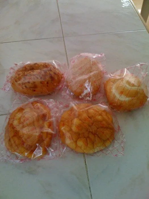 Top-rated landscape installation in Vancouver, WA - One Hope Tree Service and Construction