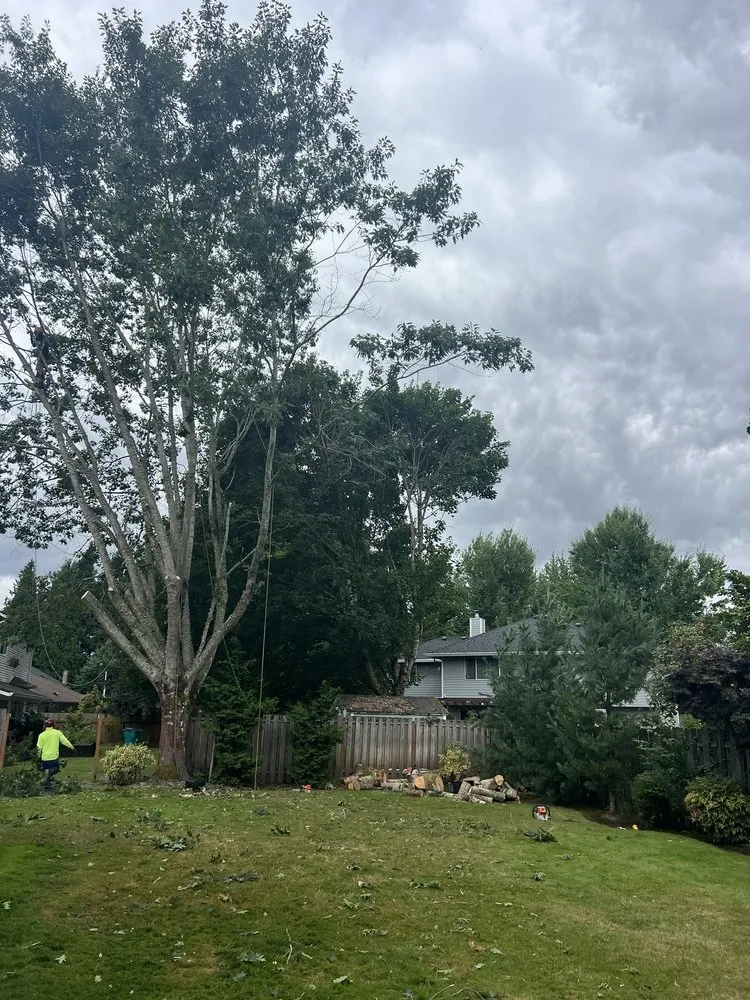 Affordable lawn mowing service in Vancouver, WA by One Hope Tree Service and Construction