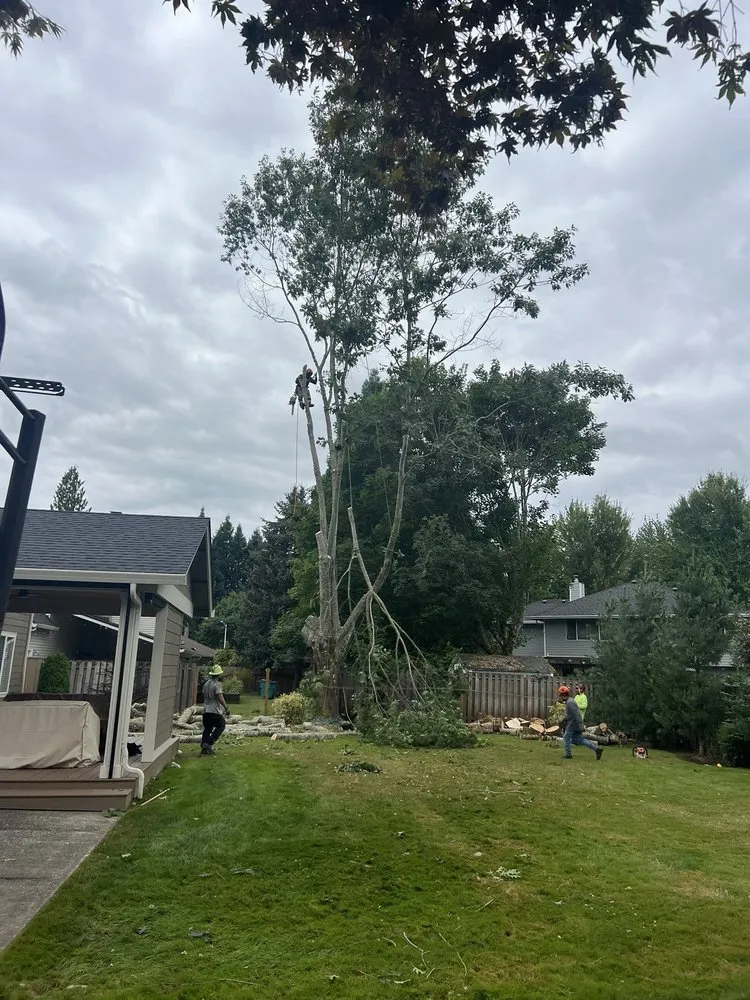 Expert landscape design in Vancouver, WA - One Hope Tree Service and Construction