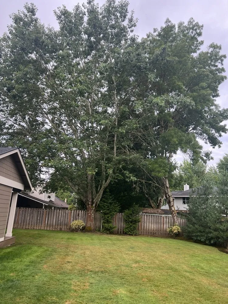 Expert garden landscaping experts serving Vancouver, WA - One Hope Tree Service and Construction