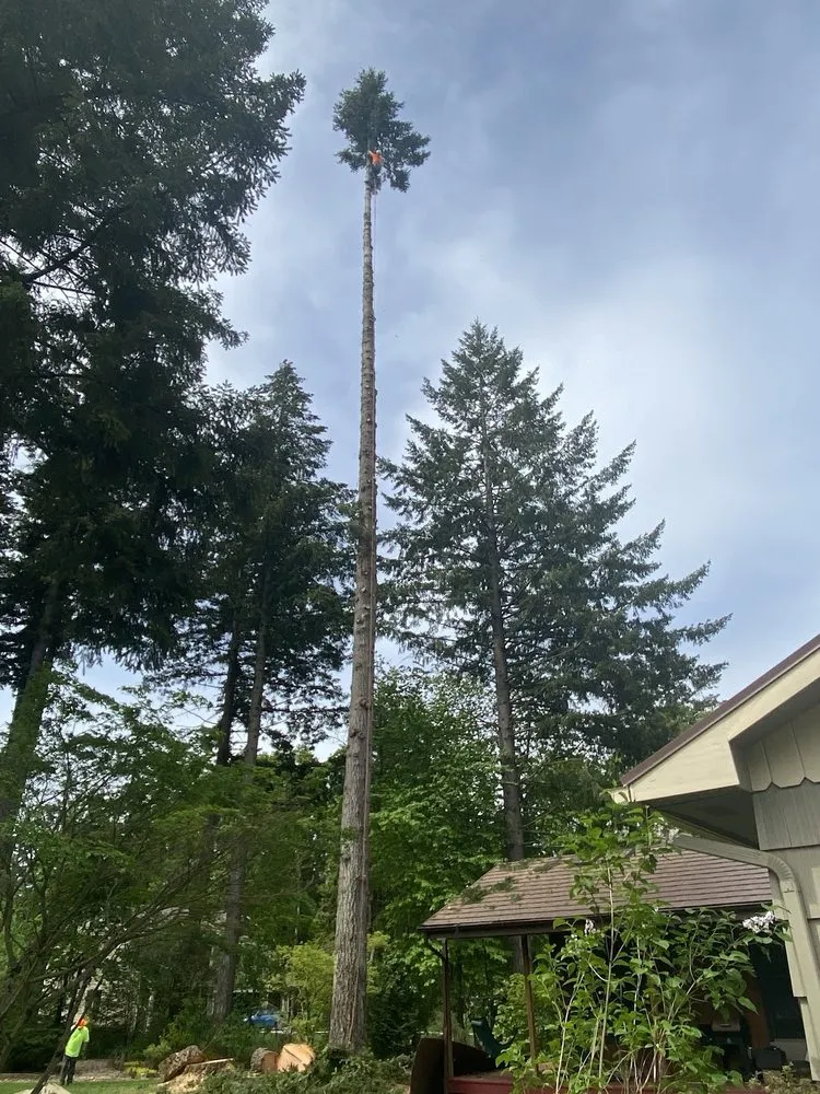 Local landscape installation for homes across Vancouver, WA - One Hope Tree Service and Construction