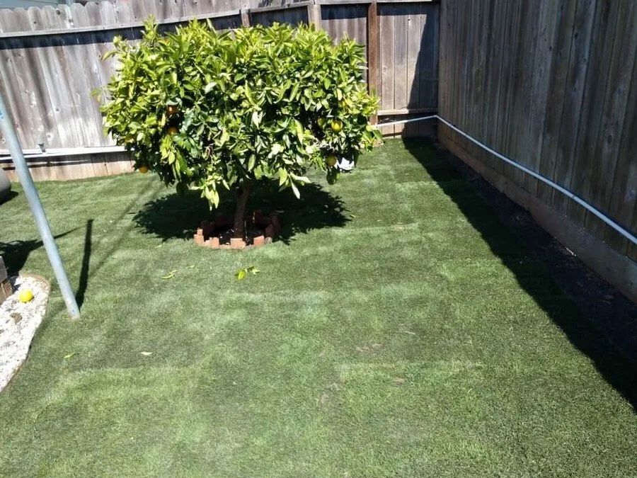 Local landscape design in Vallejo, CA by O.N.E Landscaping Service