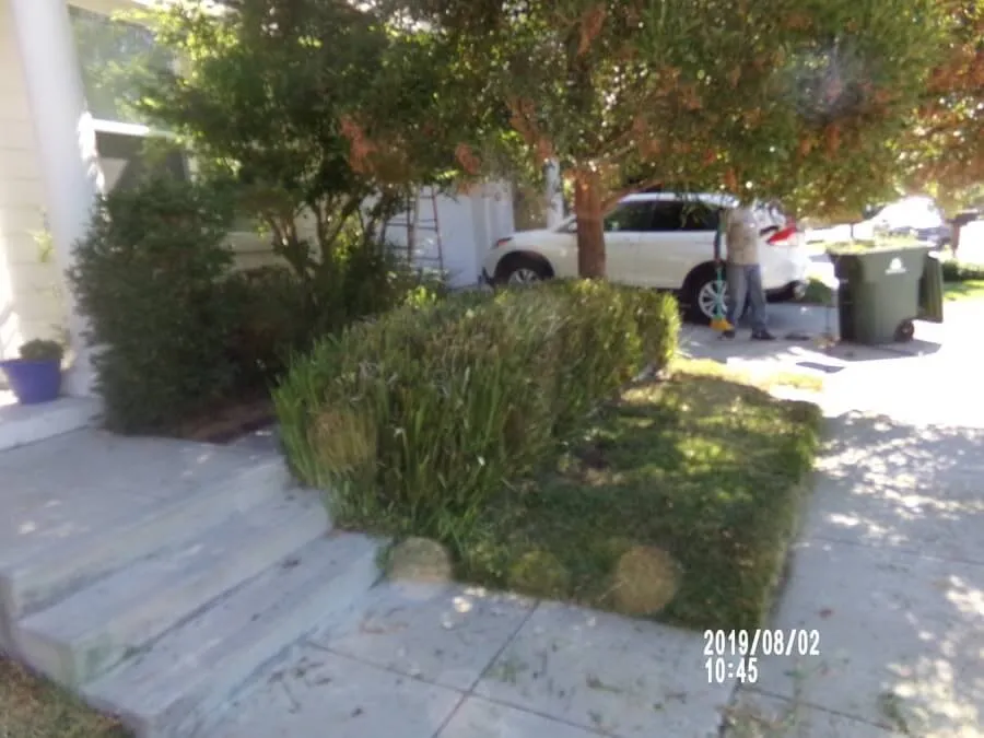 Local lawn mowing service in Vallejo, CA - O.N.E Landscaping Service