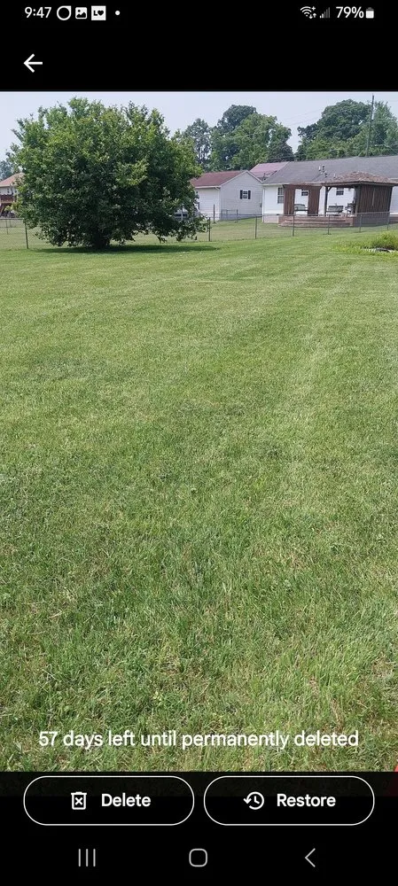 Custom yard maintenance in Elizabethton, TN - One Leg Man and A Mower