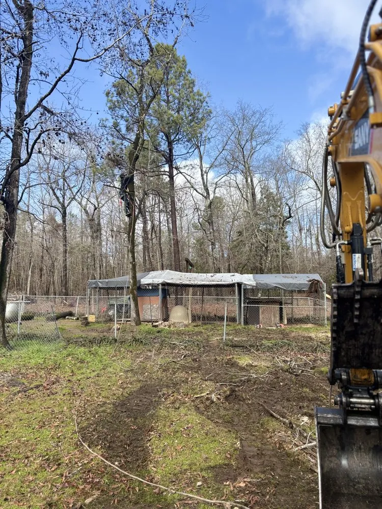 Expert landscape installation in Augusta-Richmond County consolidated government (balance), GA - One limb at a time chips tree service