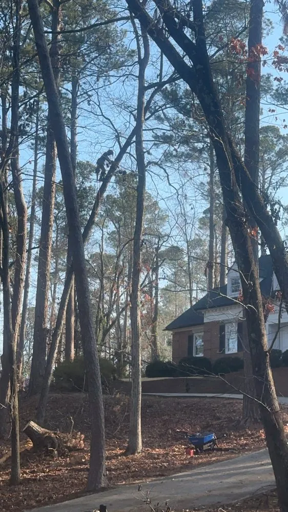 Professional landscaping services for outdoor upgrades in Augusta-Richmond County consolidated government (balance), GA by One limb at a time chips tree service