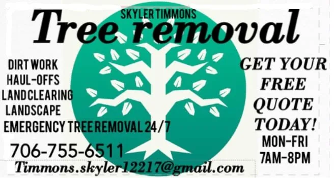Top-rated yard cleanup service in Augusta-Richmond County consolidated government (balance), GA - One limb at a time chips tree service
