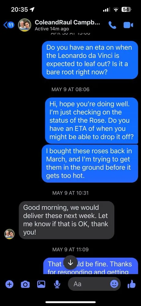 Affordable lawn care service in Dallas, TX by One Love Rose and Gardens