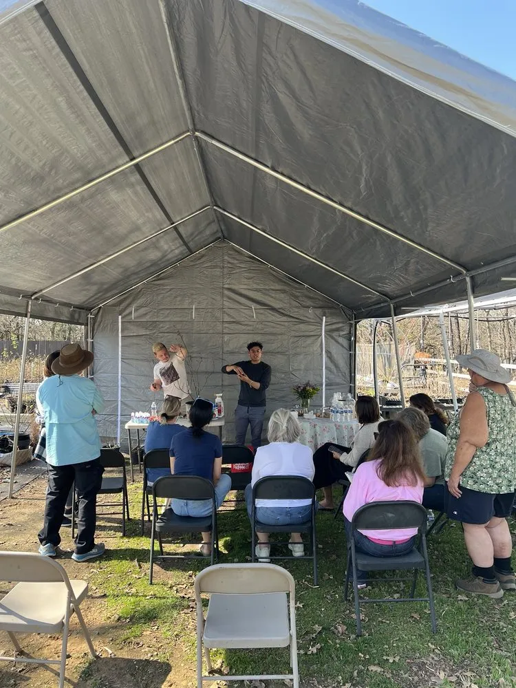 Trusted yard maintenance in Dallas, TX - One Love Rose and Gardens