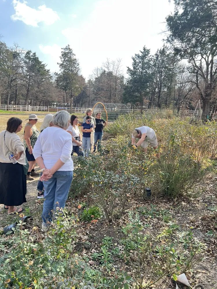 Affordable lawn mowing service in Dallas, TX - One Love Rose and Gardens