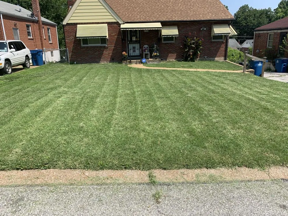 Professional yard cleanup service experts serving Saint Louis, MO - One Man & A Mower