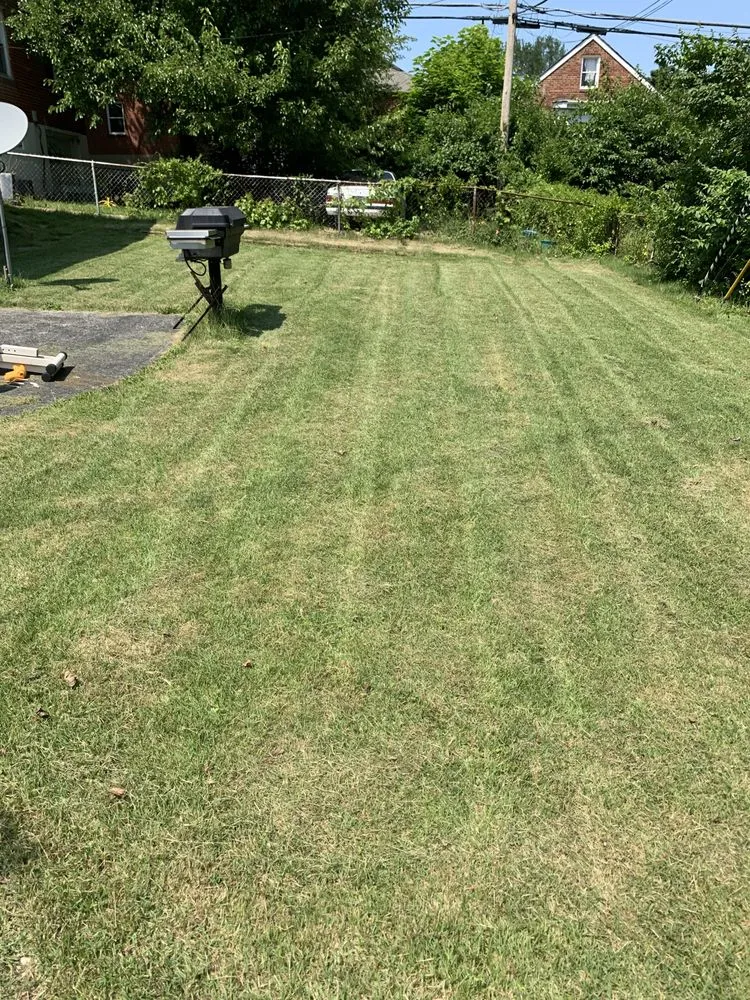 Custom lawn care service in Saint Louis, MO - One Man & A Mower