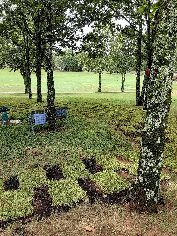 Custom garden landscaping in North Little Rock, AR by One Man Crew