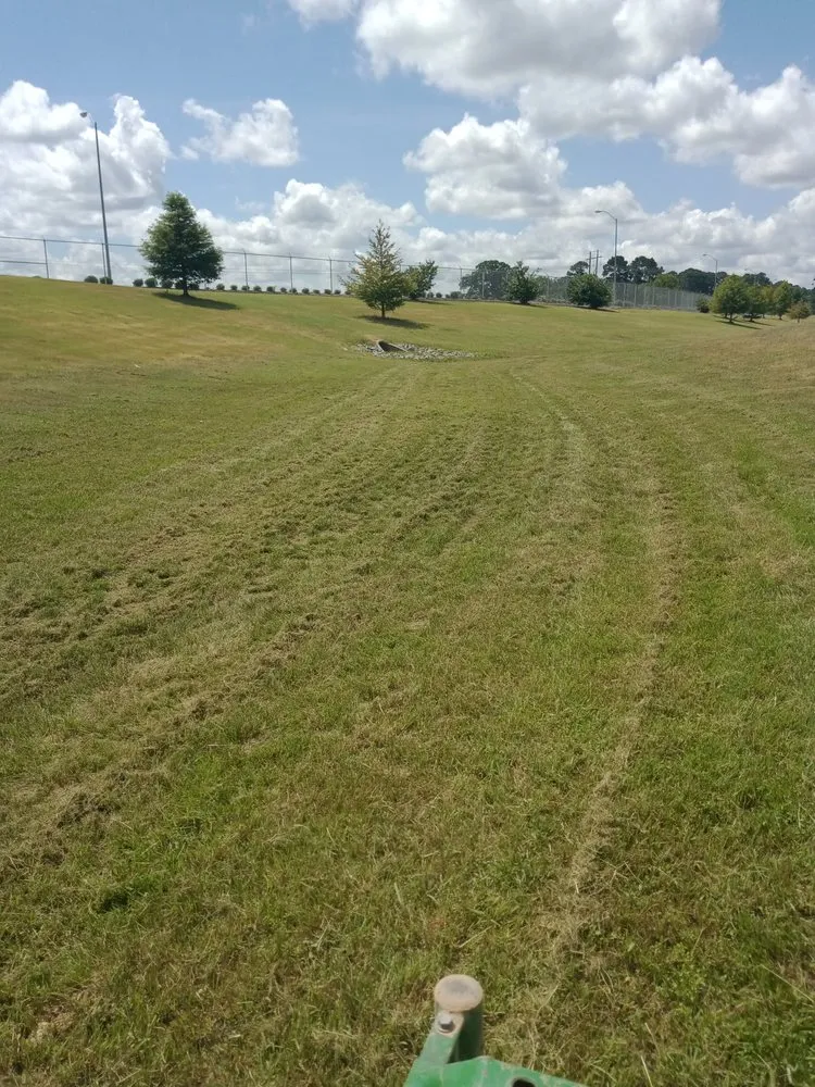 Professional outdoor landscaping experts serving North Little Rock, AR - One Man Crew