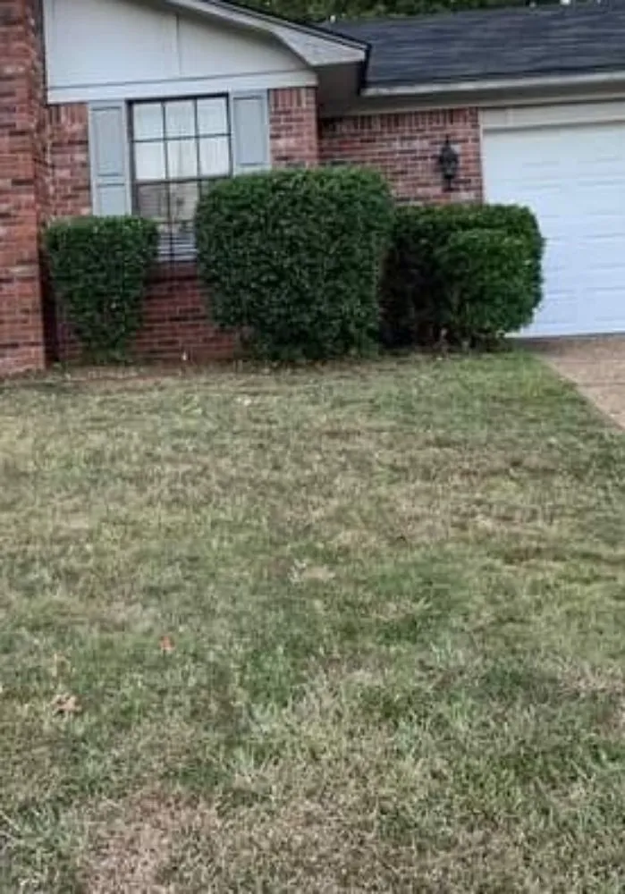 Custom yard maintenance in North Little Rock, AR - One Man Crew