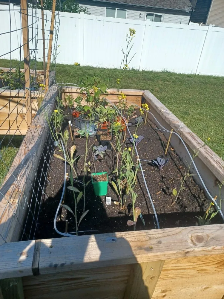 Trusted landscaping services in Camby, IN by One Man Handyman