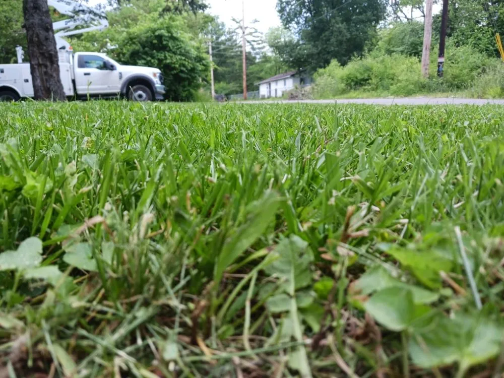 Trusted residential landscaping experts serving Camby, IN - One Man Handyman