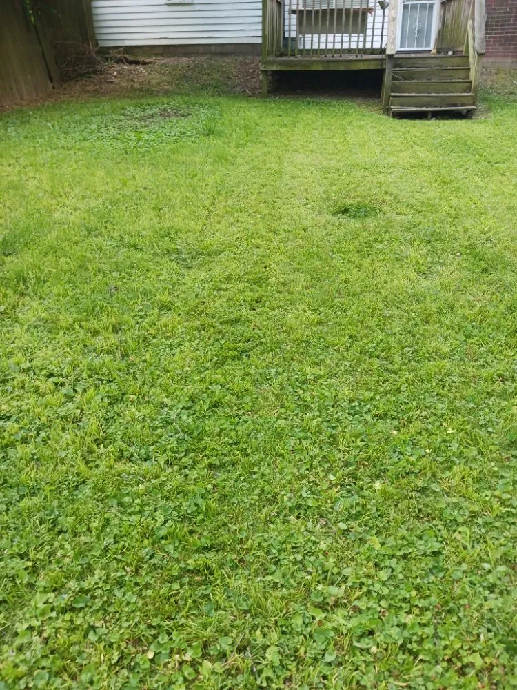 Top-rated landscaping services for outdoor upgrades in Camby, IN by One Man Handyman