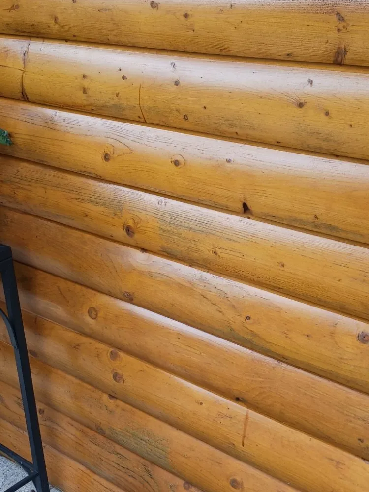 Local lawn care service near you in Camby, IN by One Man Handyman