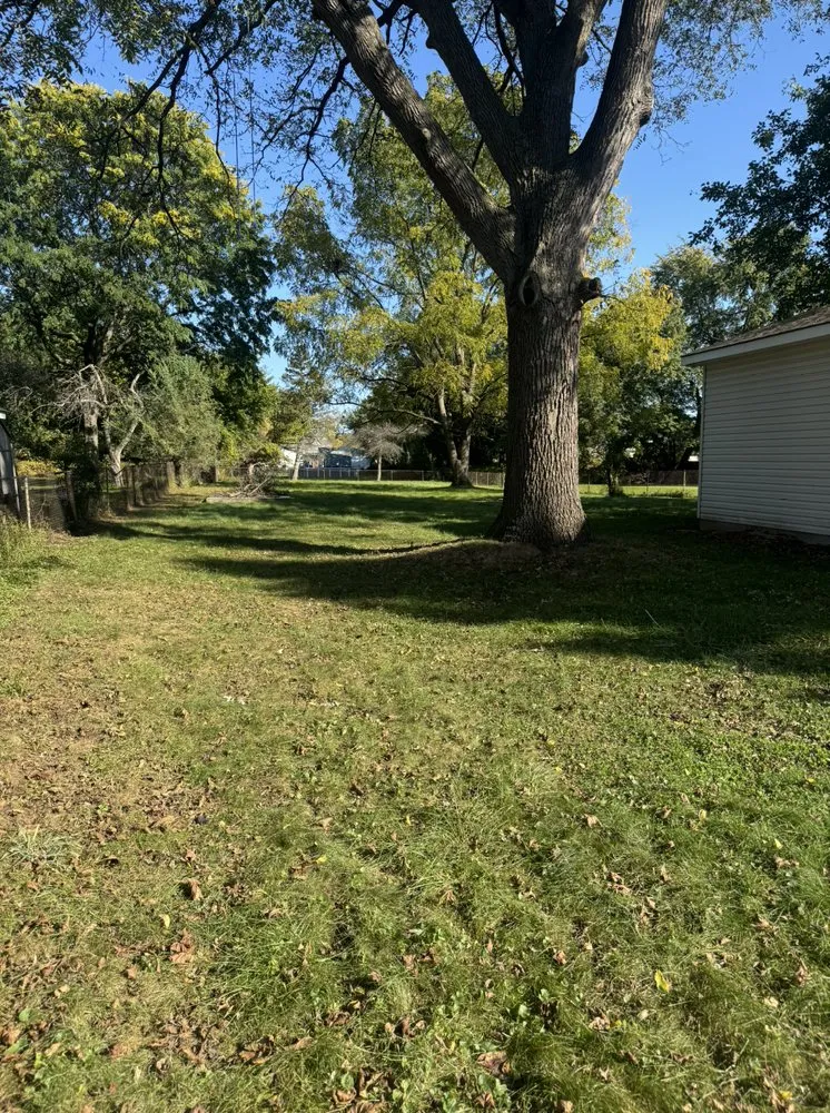 Local yard maintenance in Sterling Heights, MI - One Man One Mower