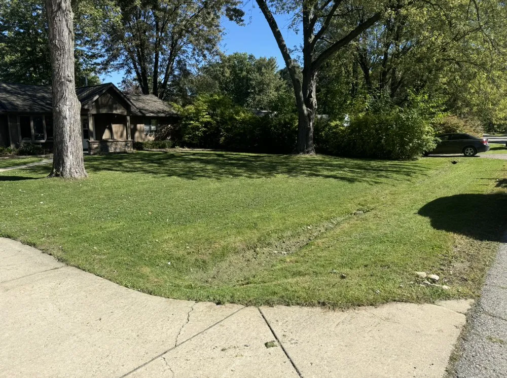 Professional landscape design in Sterling Heights, MI - One Man One Mower